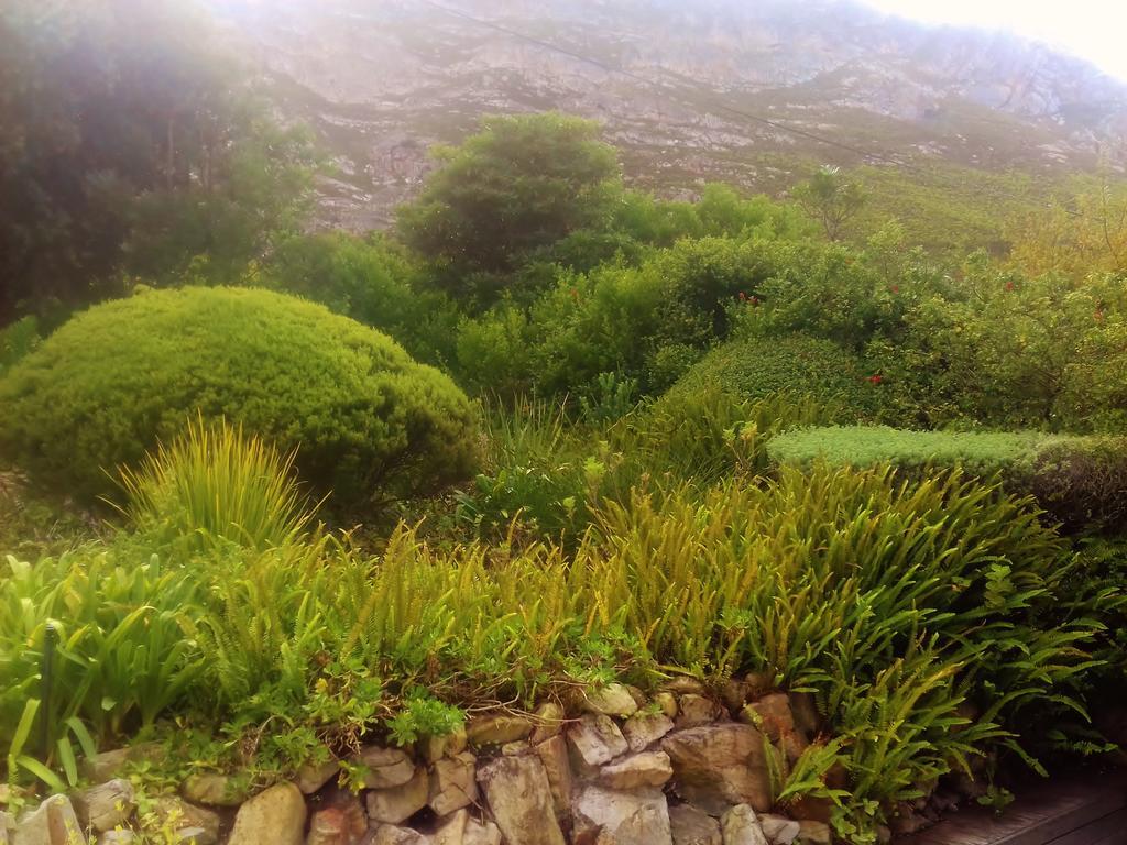 Whale Coast Villa Hermanus Bagian luar foto